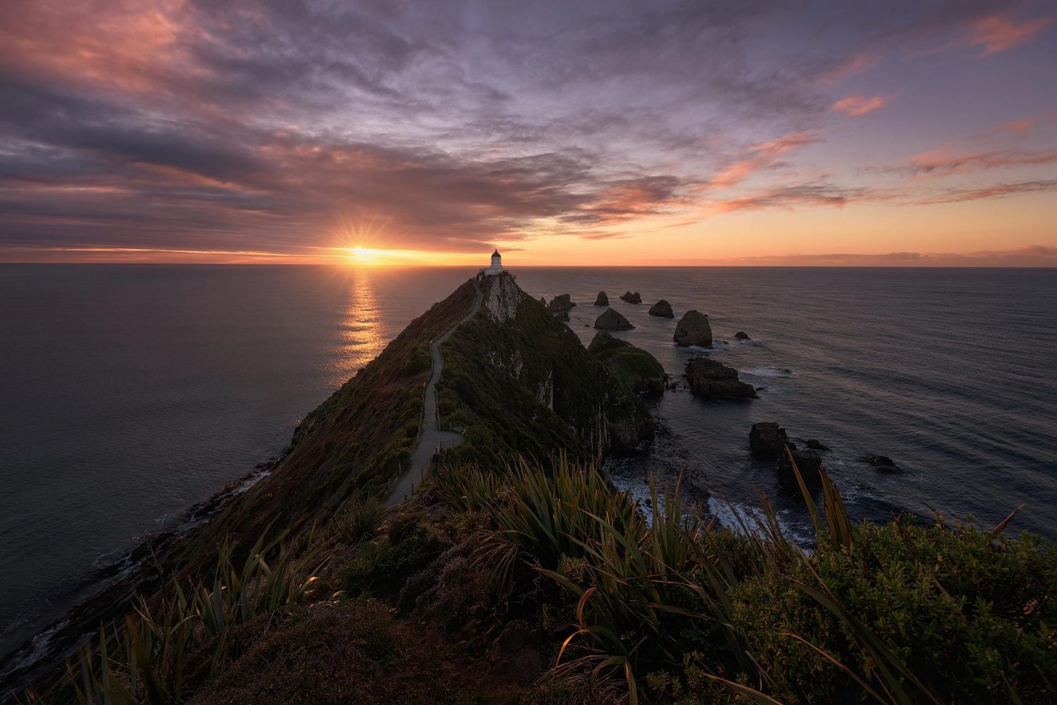 Viaje fotográfico por Nueva Zelanda en Nugget Point