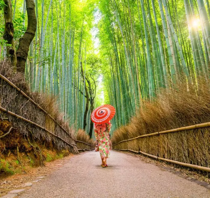 Arashiyama, Kyoto, Japón