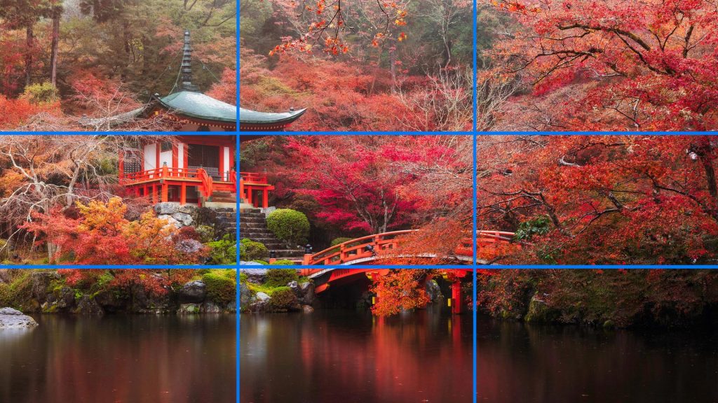 using the grid in photography for composition