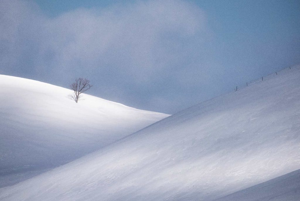 hokkaido-tour-fotografico