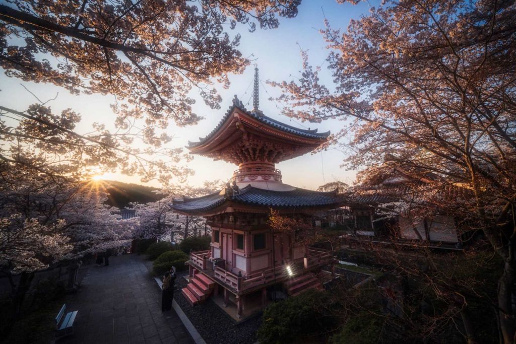 tour-fotográfico-sakura-japón