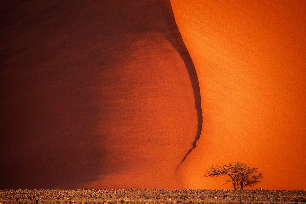 namibia-tour-fotogràfico