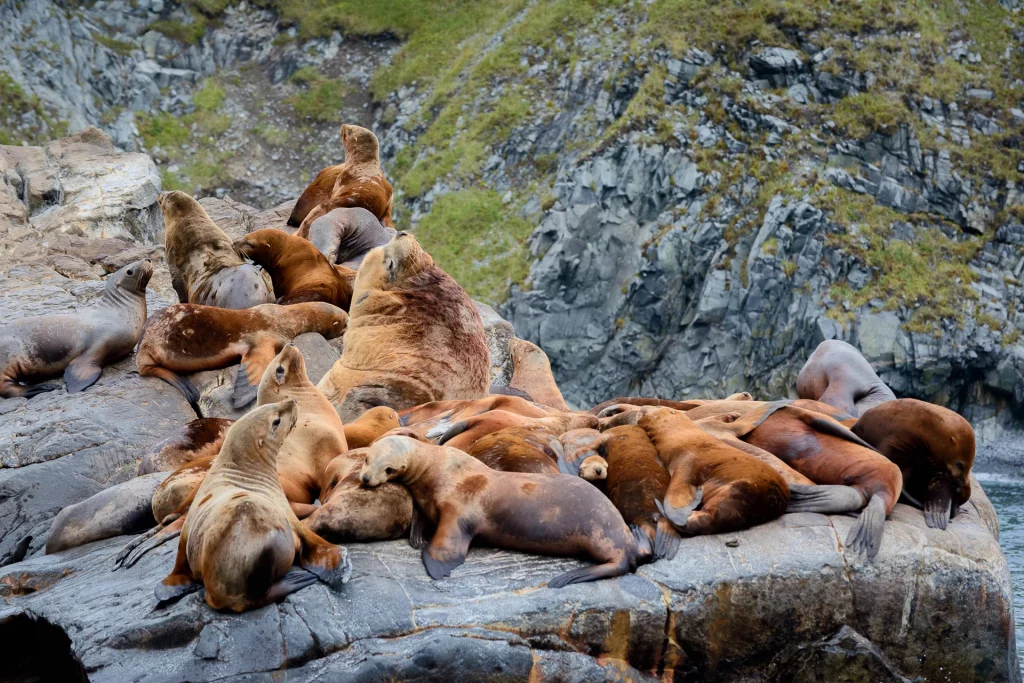 11 cosas que debes saber sobre la península de Kamchatka 8