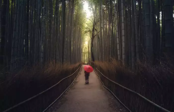 Arashiyama geisha