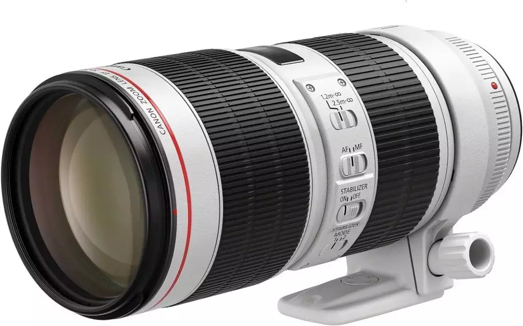 Canon EF 70-200mm f/2.8