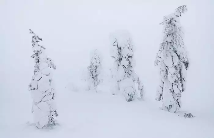 Taller de fotos en Finlandia