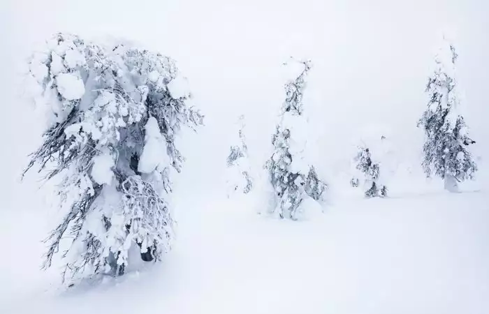 Lapland minimalistic photography