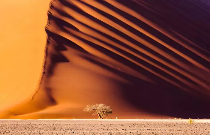 Dune 45, una enorme duna de arena roja en el desierto de Namib, Sossusvlei