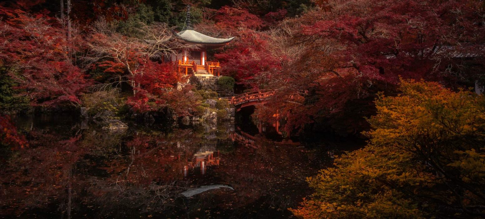 autumn japan photo tour