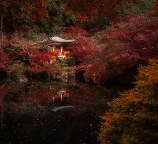 autumn japan photo tour