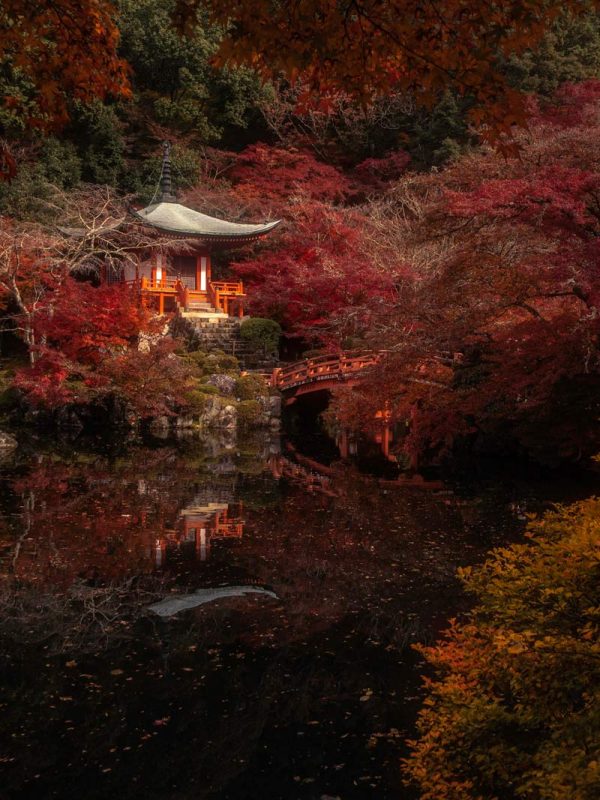 autumn japan photo tour