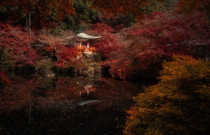 autumn japan photo tour