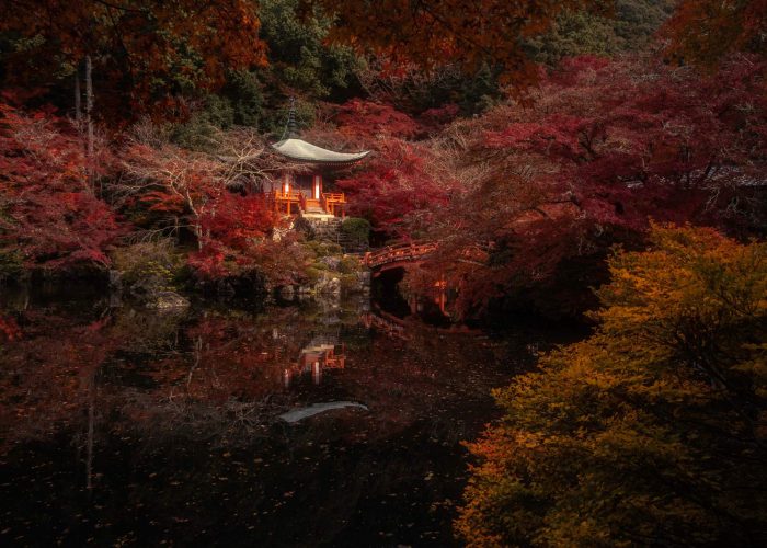 autumn japan photo tour