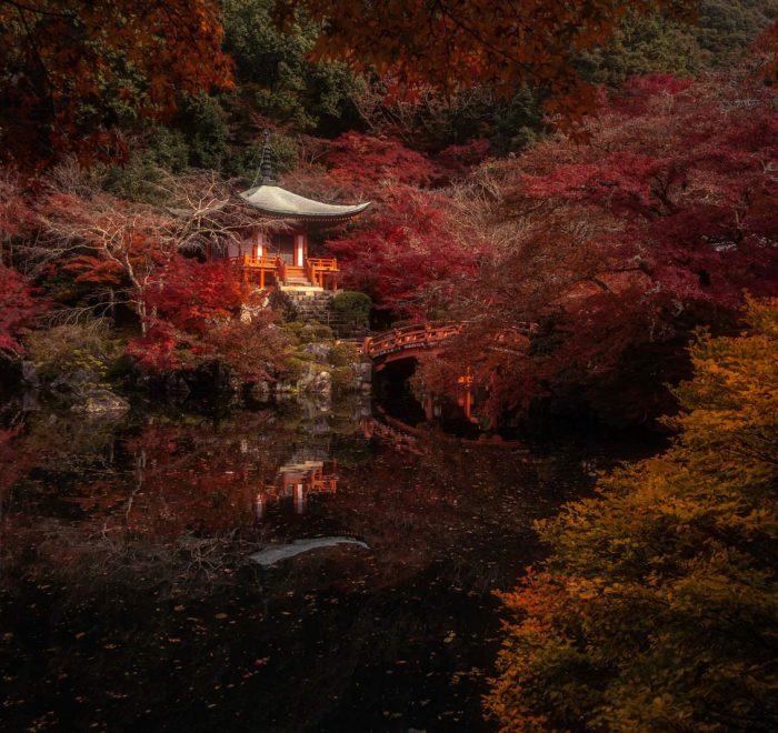 autumn japan photo tour