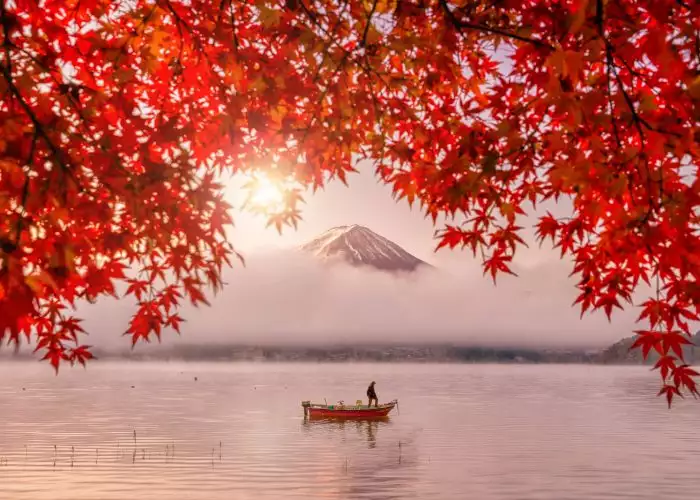 Colorful autumn season and Mountain Fuji