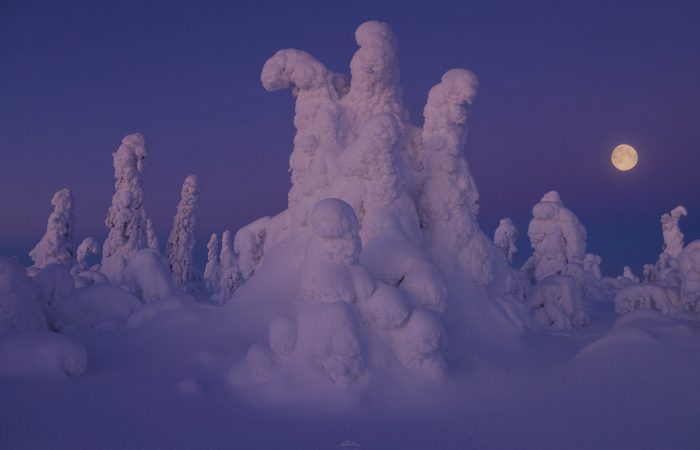 full moon snow trees