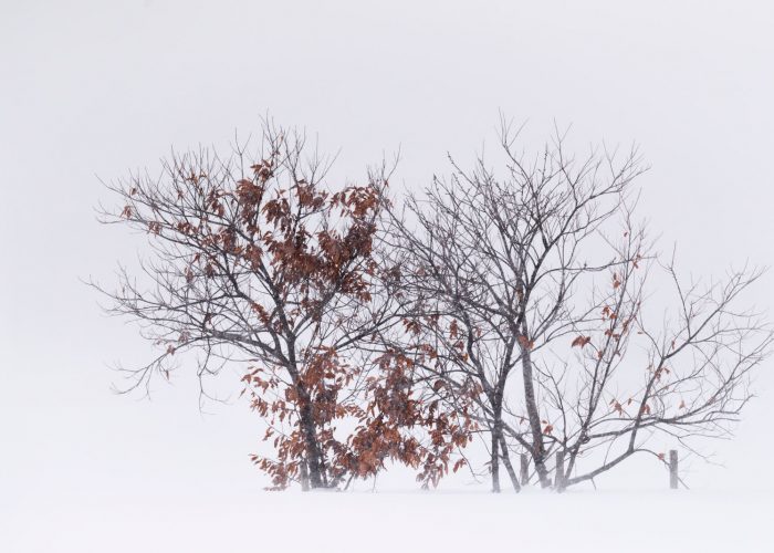fotografía minimalista en Hokkaido