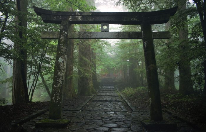 Puerta Torii del santuario sintoísta japonés en el bosque, Nikko, Japón