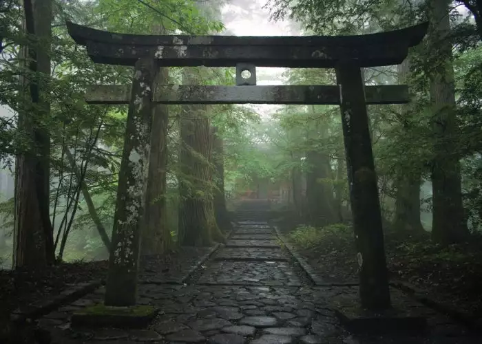 Japanese torii Shinto shrine gate in the forest, Nikko, Japan