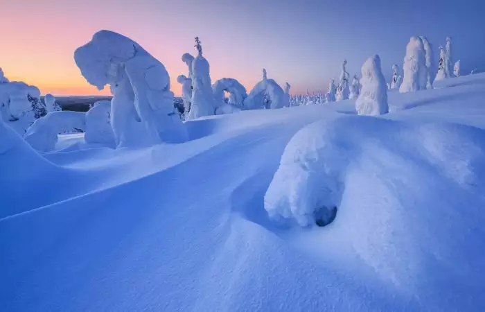 Trees in snow on mountain slopes in Lapland, Kola Peninsula