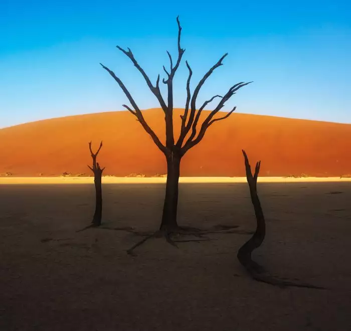 Namibia Photography Tour