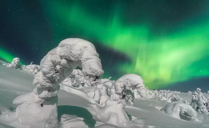 Viaje fotográfico a Laponia: Auroras boreales rusas