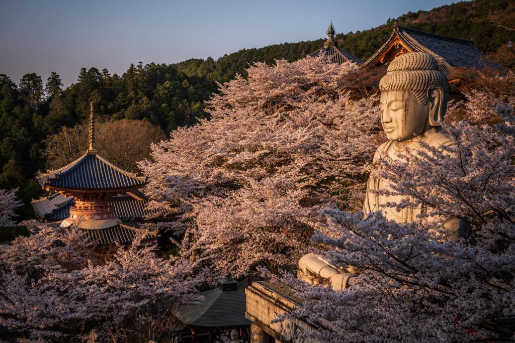 Improve your landscape photography in 2024 10 sakura-photography-tour-sunset