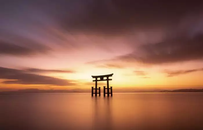 puerta torii al amanecer en Japón