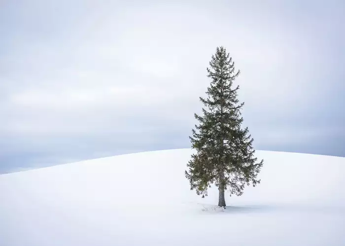 Viaje fotografico Hokkaido, Japon en Invierno